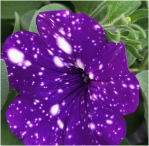 Снимок экрана 2026-04-19 175813